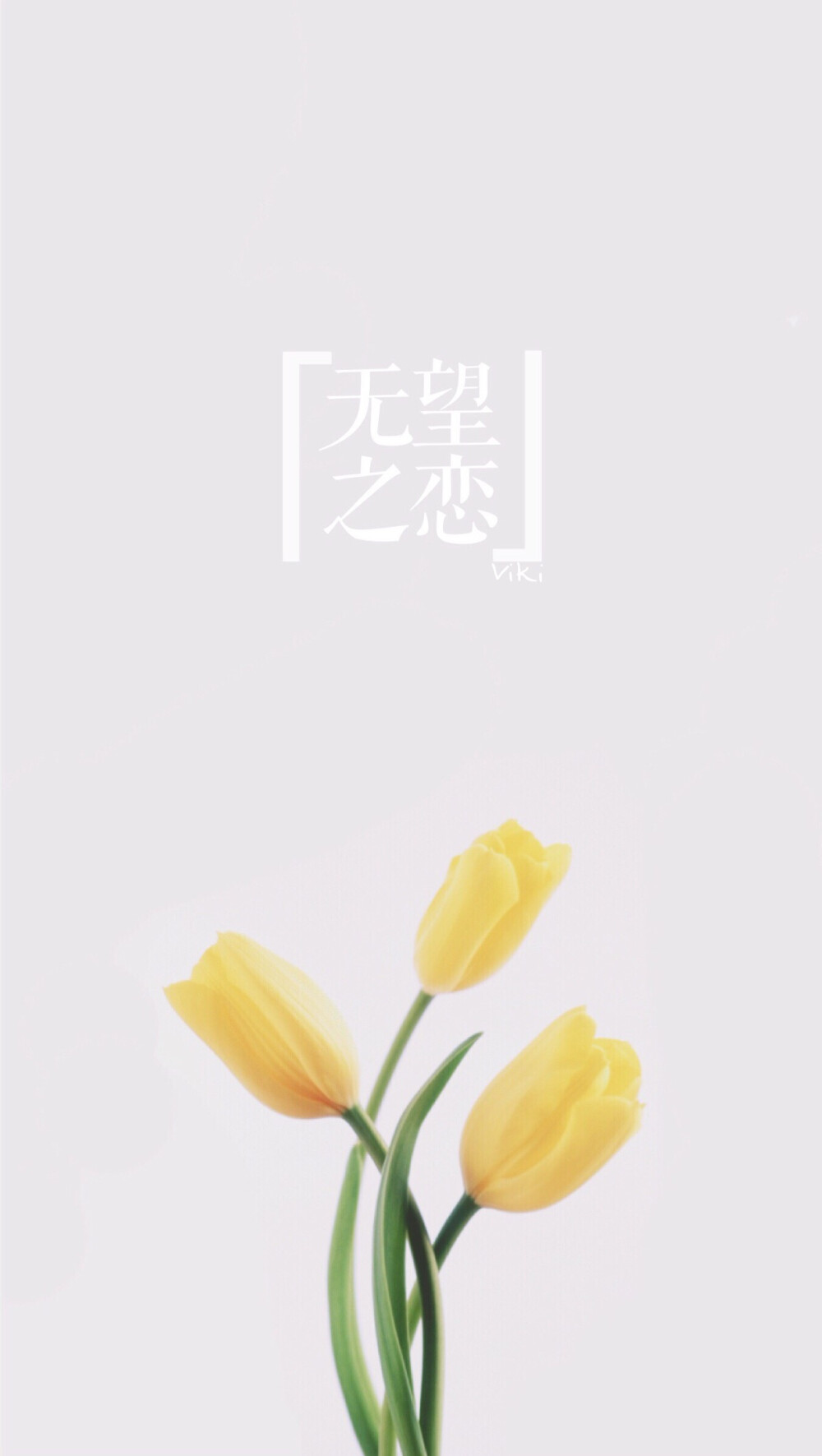 太婆壁纸之花语文字壁纸请勿二次上传