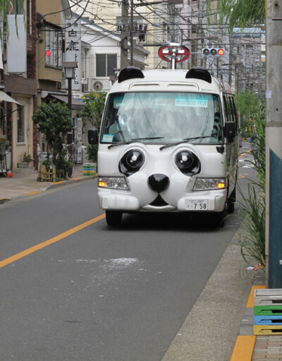 熊猫校车。