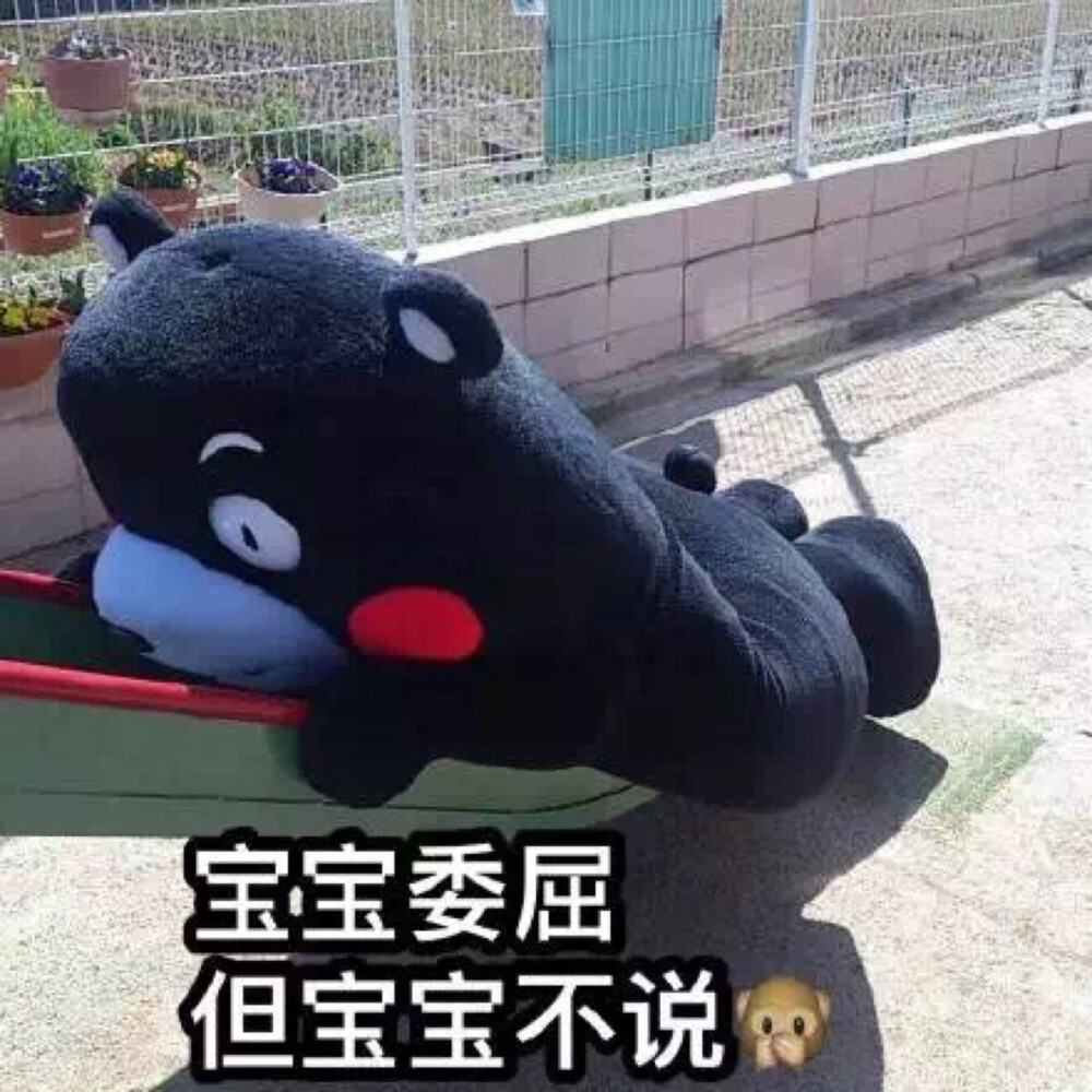 表情图 与老妈聊天必备ʕ •ᴥ•ʔ