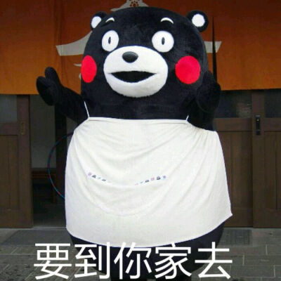 kumamon!