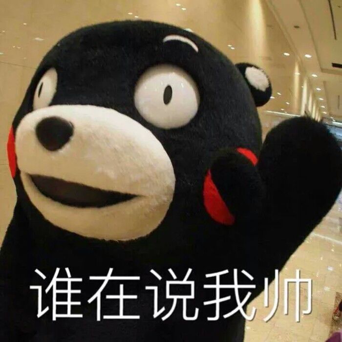 kumamon!