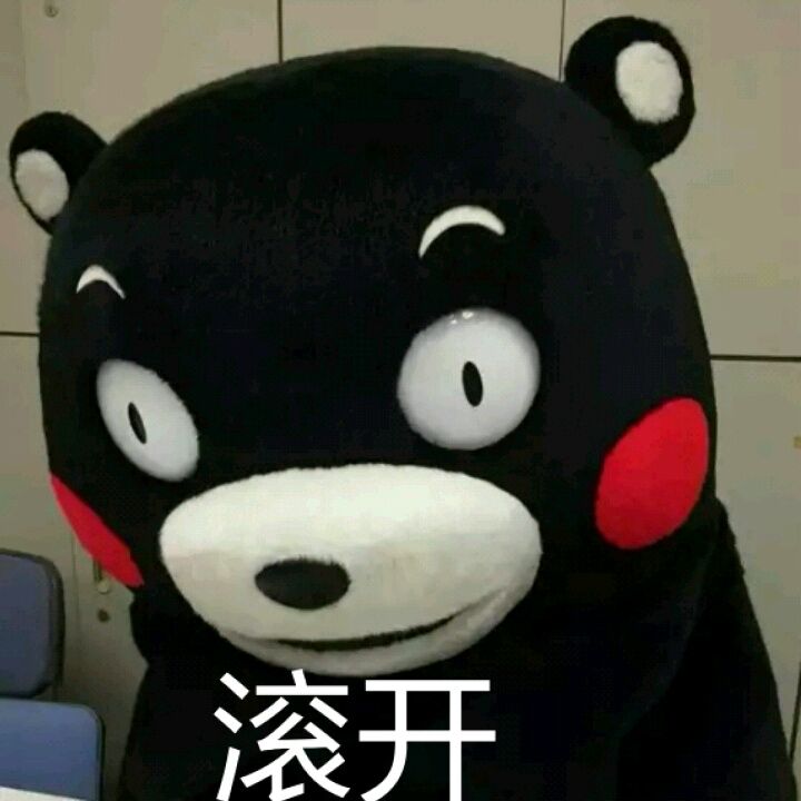 kumamon!