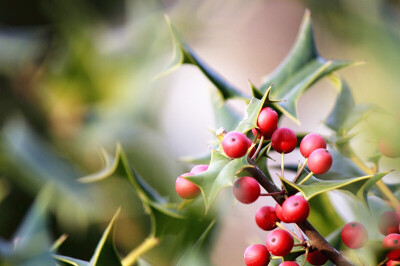 给生活多点新意