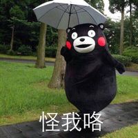 kumamon!