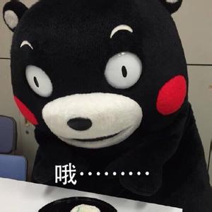 kumamon!