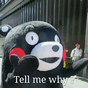 kumamon!