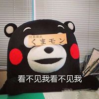 kumamon!