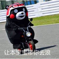 kumamon!