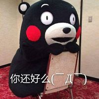 kumamon!