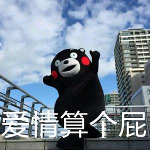 kumamon!