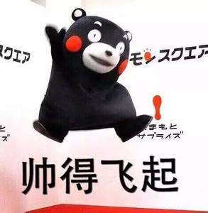 kumamon!