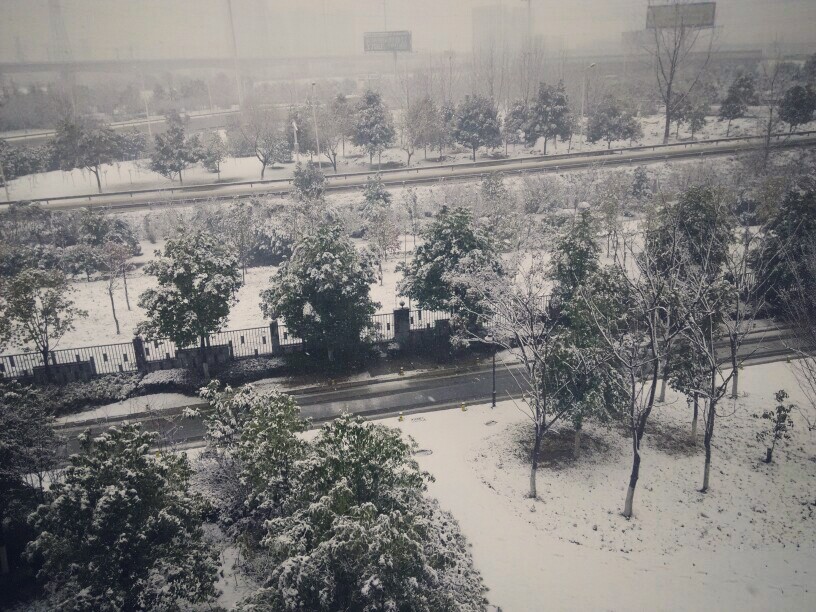 下雪啦可是好冷╯﹏