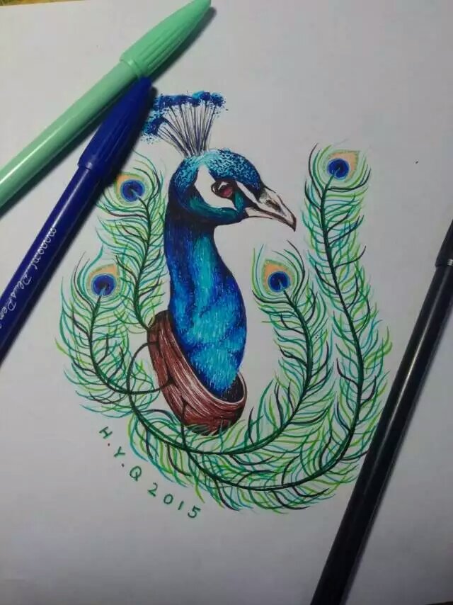 peacock.孔雀