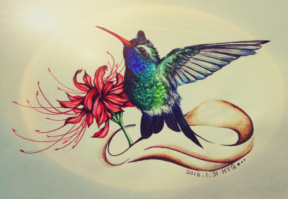 hummingbird.蜂鸟