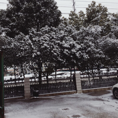 雪