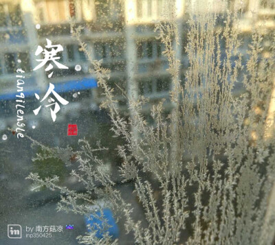 你在南方的艳阳里大雪纷飞，我在北方的寒夜里四季如春。