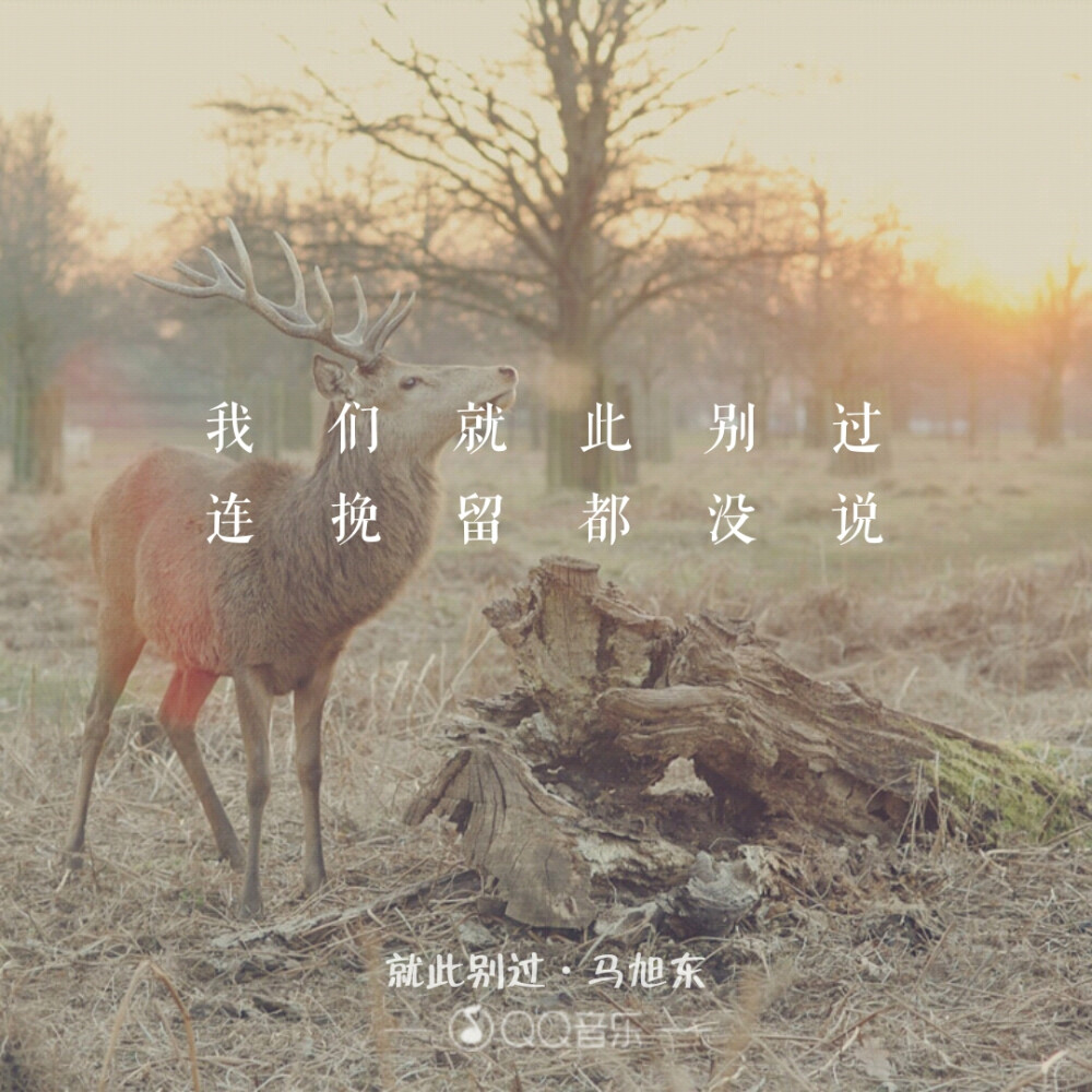  就此别过 马旭东<专辑;听不真切，此刻你是因谁而歌>［文字 句子 锁屏 语录 校园 毕业 键盘 壁纸 歌词 原创］怪兽m MonsterCat