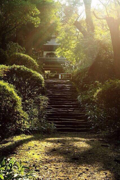 乱烟笼碧砌，飞月向南端。
寂寞离亭掩，江山此夜寒。
