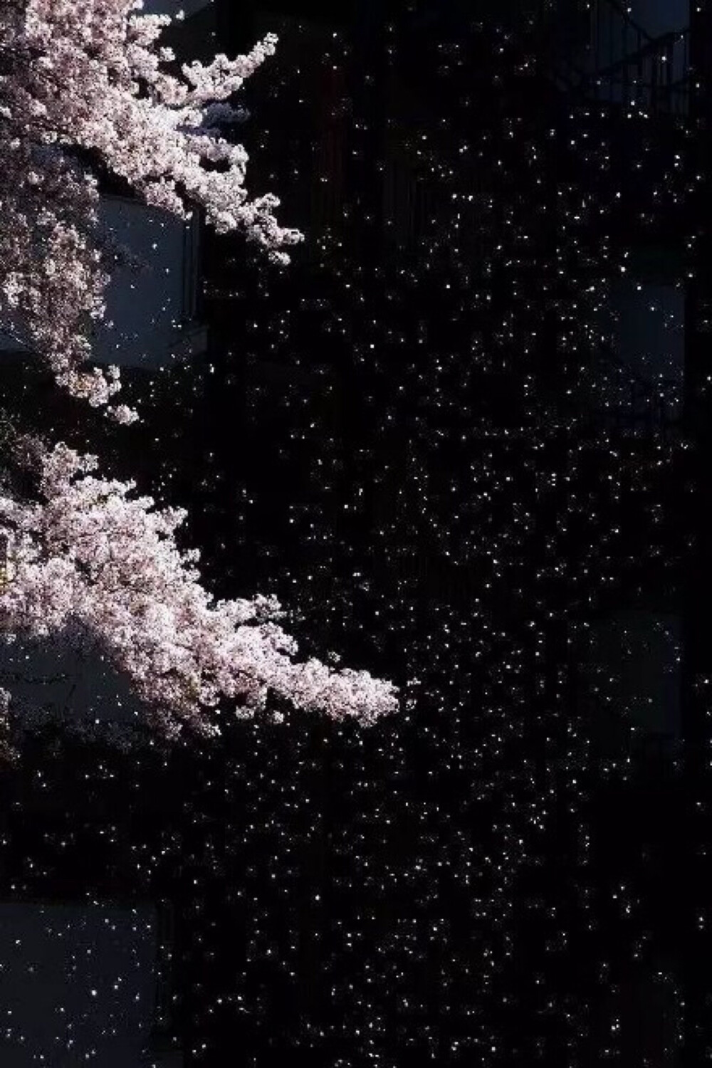 泪湿罗巾梦不成，夜深前殿按歌声。
红颜未老恩先断，斜倚薰笼坐到明。
