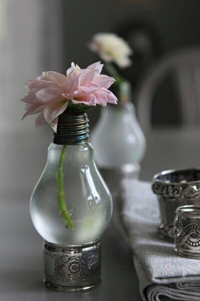 花不一定要养在花瓶里面，灯泡也可以