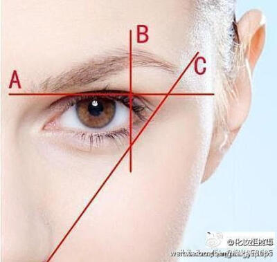 修眉 【美妆教程】A眉头位于眼头，鼻翼延长线略前处。B眉峰是眉毛最高处，位于鼻翼与瞳孔连线的延长线上或整条眉毛的2/3处。C眉尾位于鼻翼，眼尾延长线上，眉尾要略高于眉头。有这个图解，就不怕画不好眉毛了…