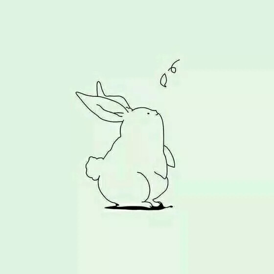 兔子