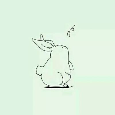 兔子