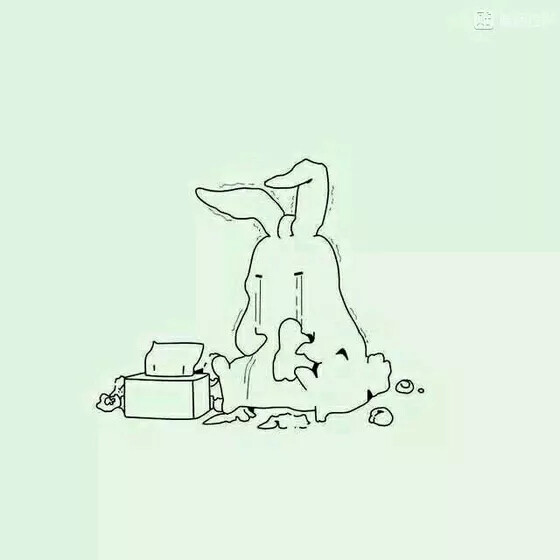 兔子