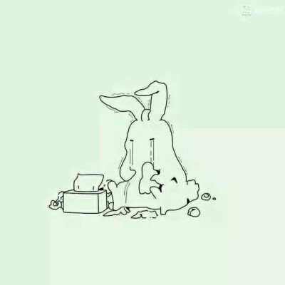 兔子