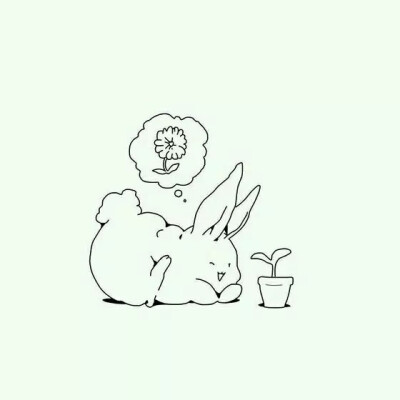 兔子