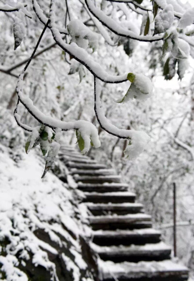 西湖看雪