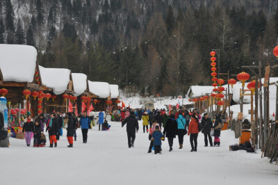 哈尔滨 冬 雪乡