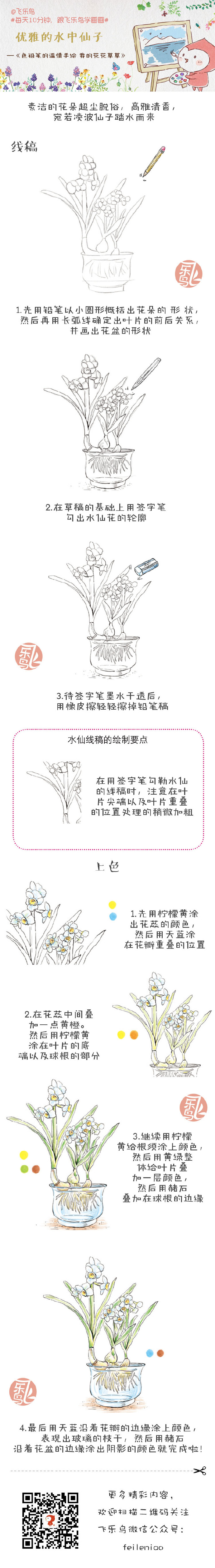 #每天10分钟，跟飞乐鸟学画画#本周主题：我的花花草草，一朵花，她叫水仙！用小清新的美好，迎接2015年份最后一周的10分钟吧。大家且画且珍惜哟