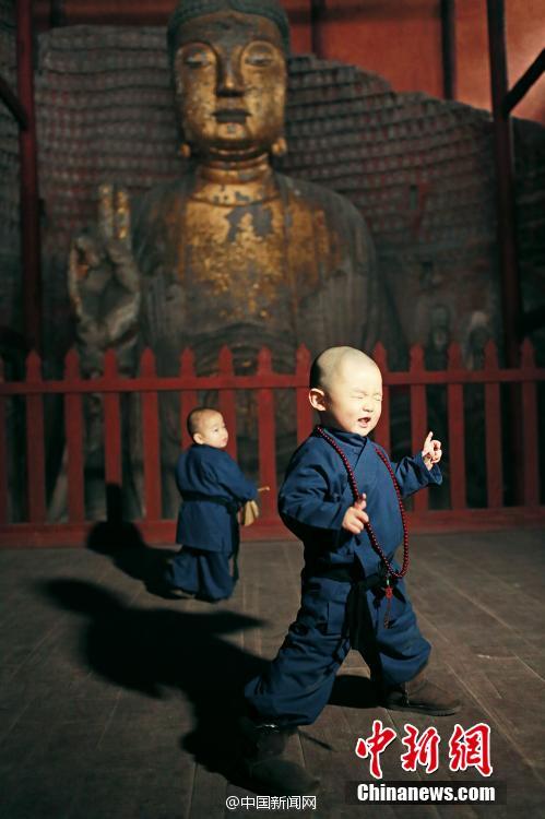 这对兄弟来自重庆合川涞滩，3岁的大师兄和1岁的小师弟，连路都还走不稳，就在二佛寺里晃悠玩耍，简直萌得不要不要的！