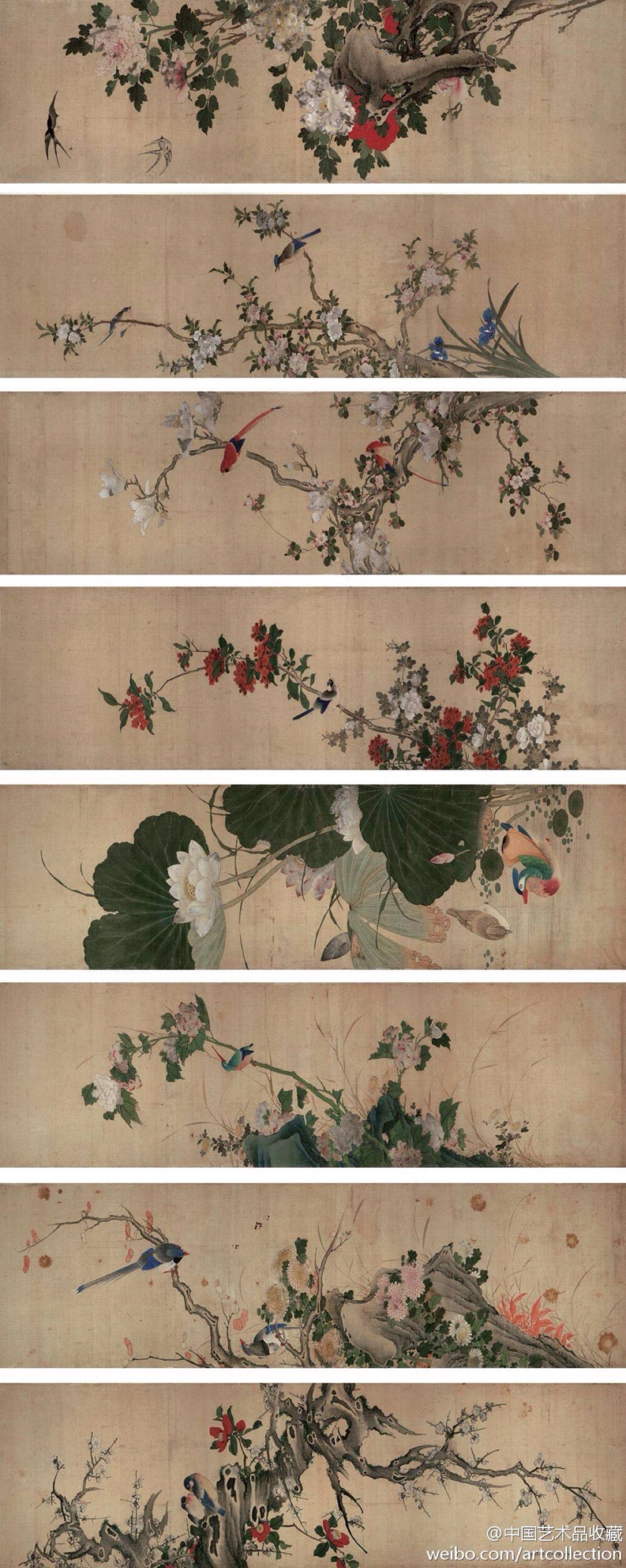 #花鸟画#【 清 陈枚 《四季花鸟图》 】八条屏，绢本设色，139.3×41cm×8，1726年作，天津博物馆藏。 此花鸟屏绘四季花卉：春桃、夏荷、秋菊、冬梅，配以四时禽鸟。由于作者有西洋绘画的功底，所绘画鸟造型准确，赋色大胆艳丽，栩栩如生。西洋技法加上传统绘画的笔墨意趣，使画面韵律生动，极富表现力。