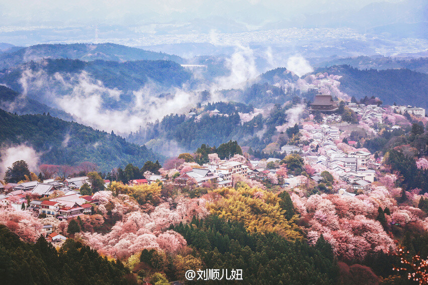 日本· 吉野山 （图片出处见水印）