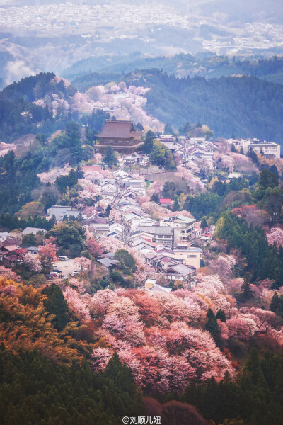 日本· 吉野山 （图片出处见水印）