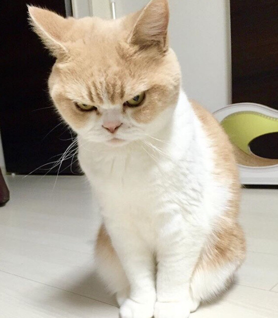 这小眼神