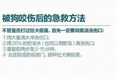 被狗咬伤后的急救方法