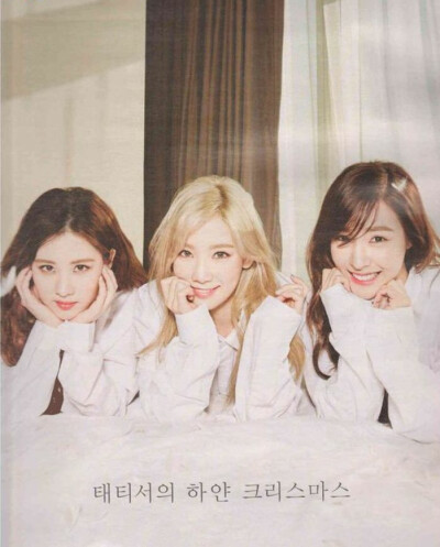 TaeTiSeo