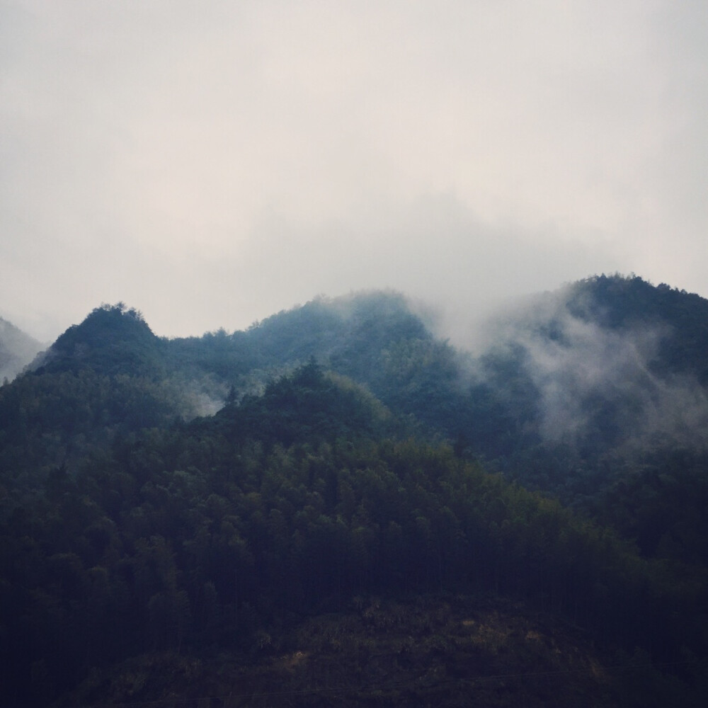 雨