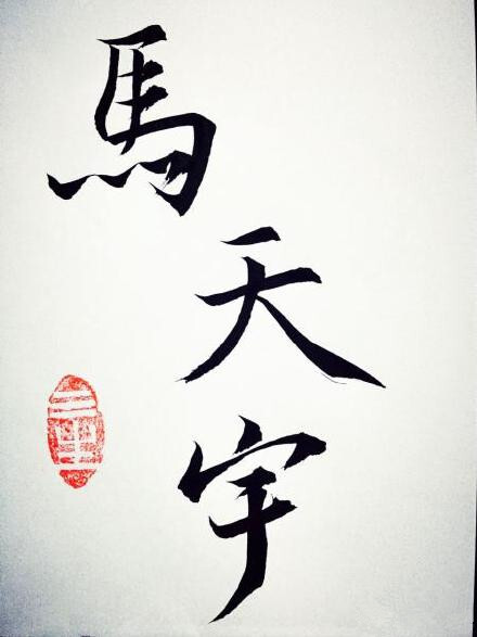 眉若刀裁,目似点漆.其素若何,春梅绽雪.其洁若何,秋菊被霜.