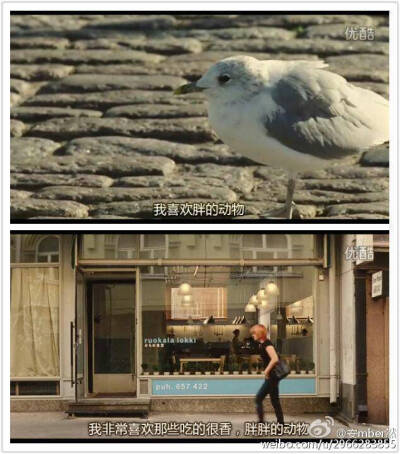 幸惠只身一人在芬兰开了家海鸥食堂，开门一周多只有一个芬兰小伙前来光顾喝咖啡（之后总是‘蹭吃蹭喝’），偶然机会她遇到了同是日本人的小绿和丢了行李的正子，后来两个人决定留在食堂帮忙，食堂的生意日渐有了起色…