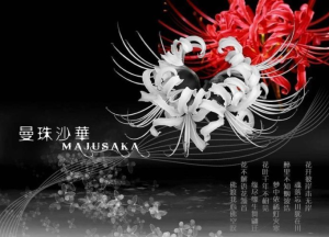 　　中国花语：“优美纯洁”代表美丽、动人
　　日本花语：“悲伤回忆”
　　朝鲜花语：“相互思念”。