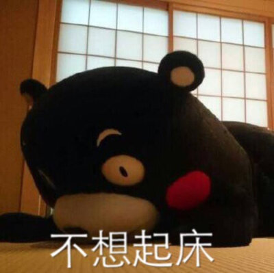 熊本熊（日语：くまモン，英语：Kumamon），官方翻译为酷ma萌，是日本熊本县的官方萌物，2011年日本吉祥物票选活动第一名，被评为日本最有名的熊。至2011年9月29日担任熊本县临时职员，2011年9月30日开始担任熊本县…