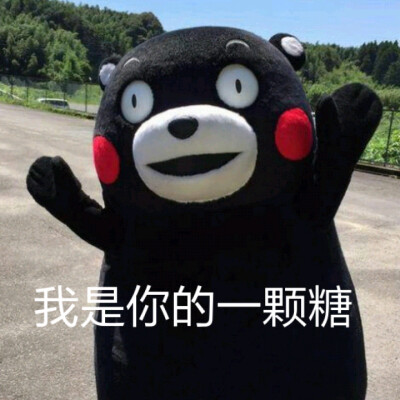 熊本熊（日语：くまモン，英语：Kumamon），官方翻译为酷ma萌，是日本熊本县的官方萌物，2011年日本吉祥物票选活动第一名，被评为日本最有名的熊。至2011年9月29日担任熊本县临时职员，2011年9月30日开始担任熊本县…