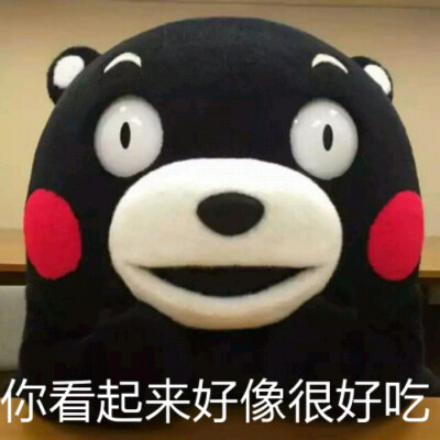 熊本熊（日语：くまモン，英语：Kumamon），官方翻译为酷ma萌，是日本熊本县的官方萌物，2011年日本吉祥物票选活动第一名，被评为日本最有名的熊。至2011年9月29日担任熊本县临时职员，2011年9月30日开始担任熊本县…