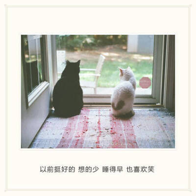 头像 唯美 清新 意境 伤感 背影 文字 文艺