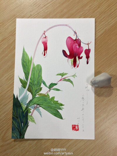 【侵删】荷包牡丹
@呀呀YYY