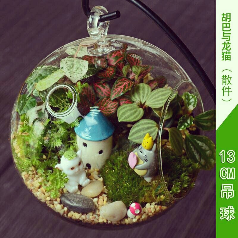 苔藓微景观